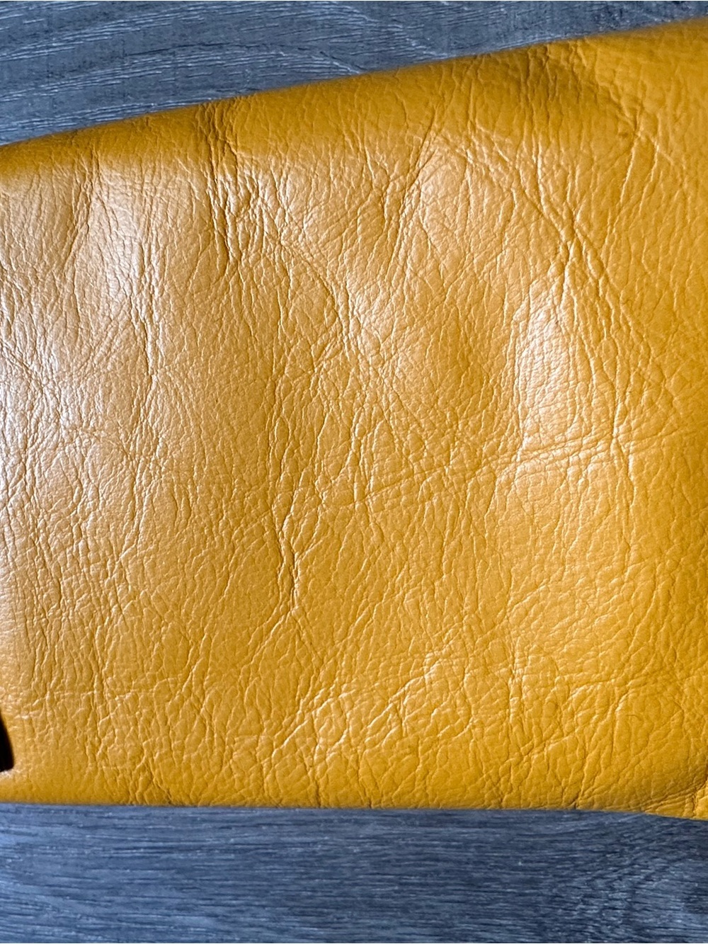 Fossil Small Leather Crossbody in Golden Yellow